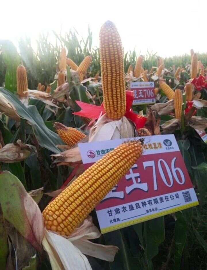 墾;?}夛(垦是啥意思)-金年会棋牌